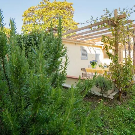 Albicocca Casa Al Mare Con Ampio Giardino Privato Дом отдыха Лидо-ди-Камайоре
